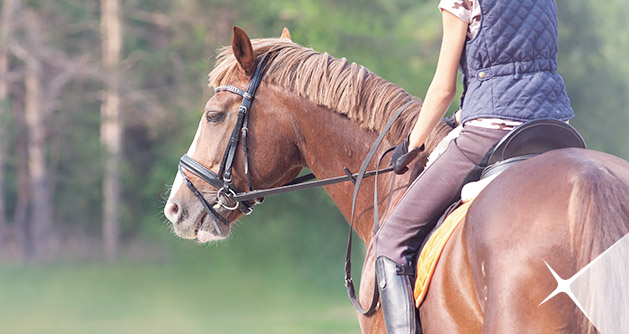 Horseback Riding: Olahraga untuk Mental, Fisik dan Spiritual